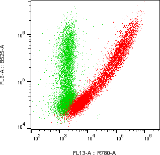 Rabbit-anti CLU monoclonal antibody