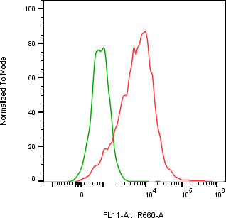 Rabbit-anti F3 monoclonal antibody