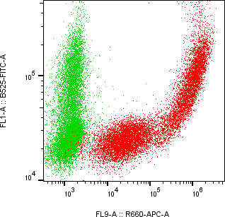 Rabbit-anti CPVL monoclonal antibody