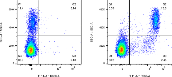 Rabbit-anti CD300LF monoclonal antibody