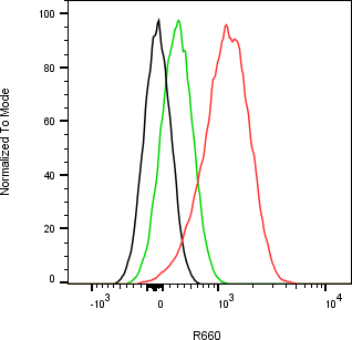 Rabbit-anti SMOC1 monoclonal antibody