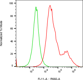 Rabbit-anti CXADR monoclonal antibody