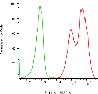 Rabbit-anti CGB2 monoclonal antibody