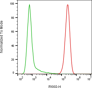 Rabbit-anti CD46 monoclonal antibody