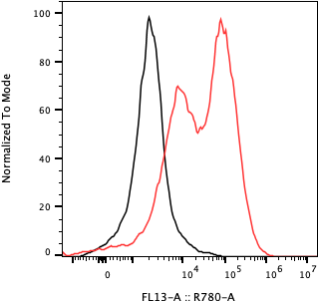 Rabbit-anti KIR2DL5A monoclonal antibody