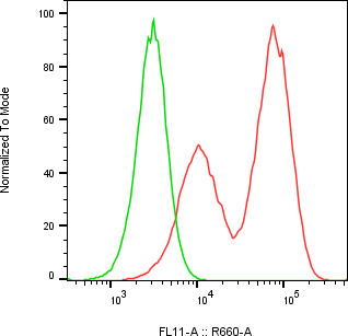 Rabbit-anti SAA1 monoclonal antibody
