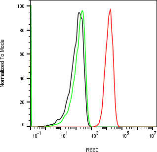 Rabbit-anti EFNA1 monoclonal antibody