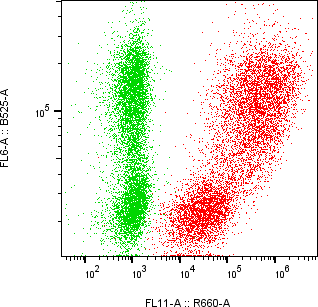 Rabbit-anti ERBB4 monoclonal antibody