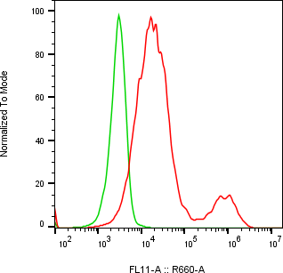 Rabbit-anti CLEC3B monoclonal antibody