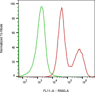 Rabbit-anti GIF monoclonal antibody