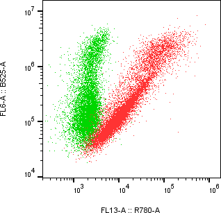Rabbit-anti KITLG monoclonal antibody