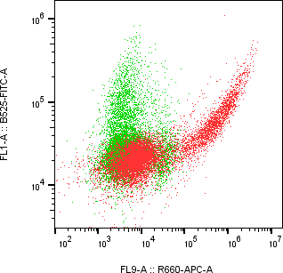 Rabbit-anti CALCA monoclonal antibody