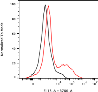 Rabbit-anti MADCAM1 monoclonal antibody