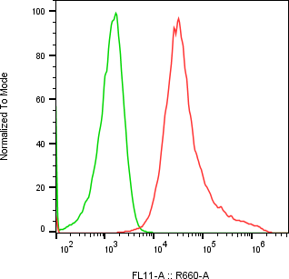 Rabbit-anti CNTFR monoclonal antibody