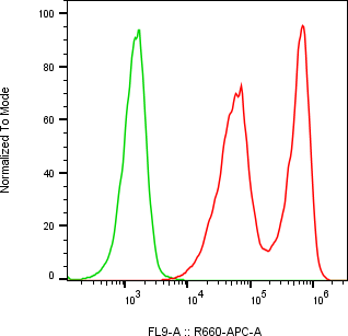 Rabbit-anti REG1B monoclonal antibody