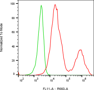 Rabbit-anti MSMB monoclonal antibody