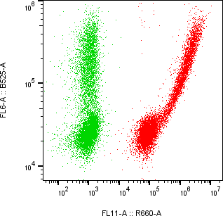 Rabbit-anti CD109 monoclonal antibody