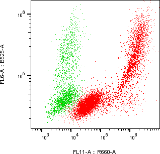 Rabbit-anti NTF4 monoclonal antibody