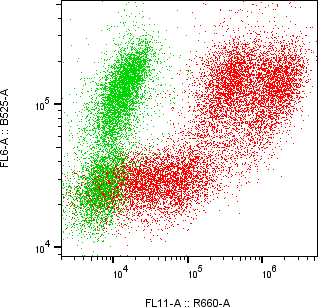 Rabbit-anti CSH2 monoclonal antibody