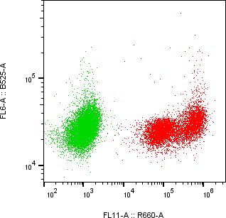 Rabbit-anti F9 monoclonal antibody