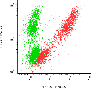 Rabbit-anti IFNA17 monoclonal antibody