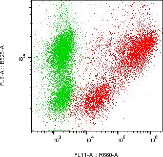 Rabbit-anti DEFA1 monoclonal antibody
