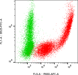 Rabbit-anti CPVL monoclonal antibody