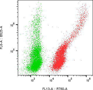 Rabbit-anti ITGB1 monoclonal antibody