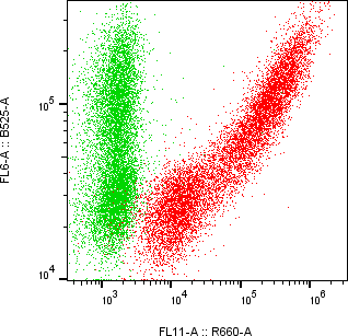 Rabbit-anti INSL4 monoclonal antibody