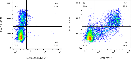 Rabbit-anti CD33 monoclonal antibody