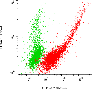 Rabbit-anti LRP10 monoclonal antibody