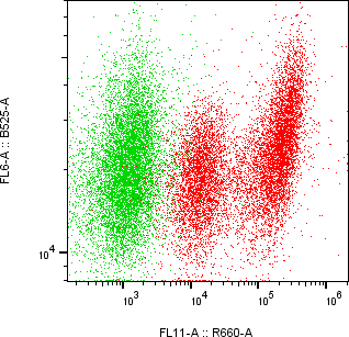 Rabbit-anti GDNF monoclonal antibody