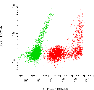 Rabbit-anti CD86 monoclonal antibody
