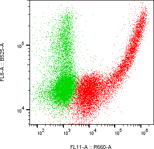 Rabbit-anti CEACAM7 monoclonal antibody