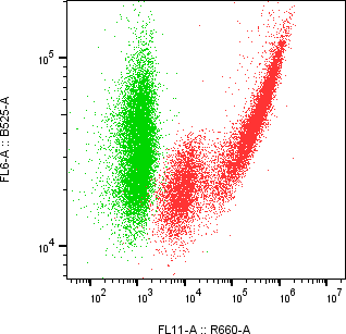 Rabbit-anti COL3A1 monoclonal antibody