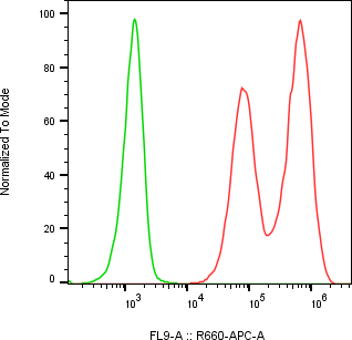 Rabbit-anti CCL16 monoclonal antibody