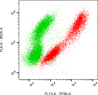 Rabbit-anti IL5 monoclonal antibody