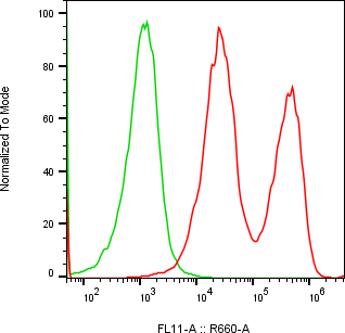 Rabbit-anti APOA4 monoclonal antibody