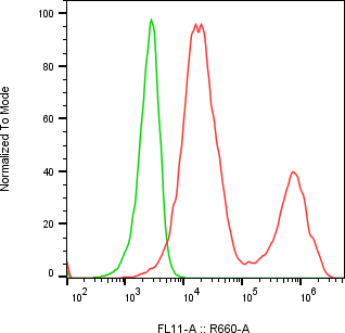 Rabbit-anti MSMB monoclonal antibody