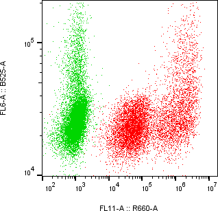 Rabbit-anti CD86 monoclonal antibody