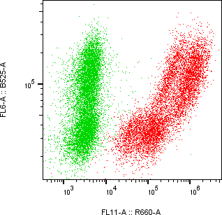 Rabbit-anti PLAU monoclonal antibody