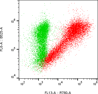 Rabbit-anti TNFRSF18 monoclonal antibody