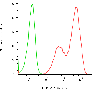 Rabbit-anti PNLIP monoclonal antibody