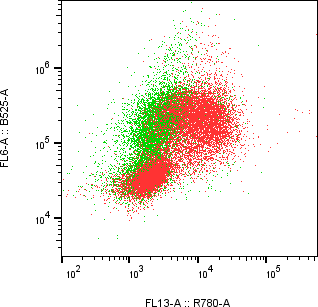 Rabbit-anti CD38 monoclonal antibody