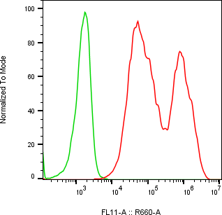 Rabbit-anti MMP3 monoclonal antibody