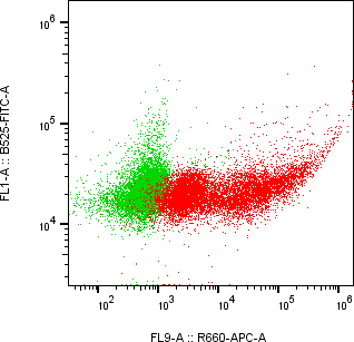 Rabbit-anti NCR2 monoclonal antibody
