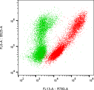 Rabbit-anti CGB8 monoclonal antibody