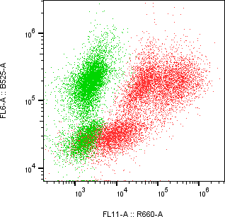 Rabbit-anti CPA2 monoclonal antibody