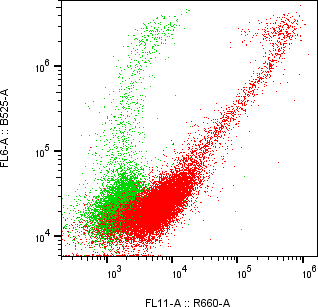 Rabbit-anti EGFR monoclonal antibody
