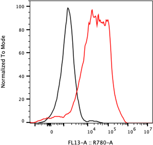 Rabbit-anti FLT3LG monoclonal antibody